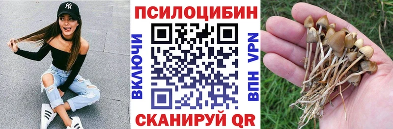 Псилоцибиновые грибы мицелий  Киржач 