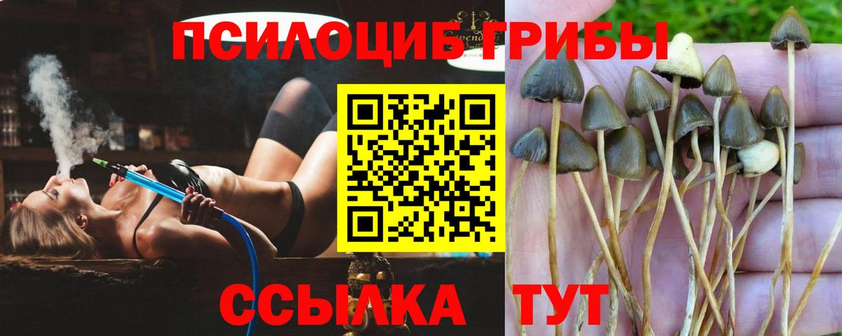 Псилоцибиновые грибы Magic Shrooms  Псилоцибиновые грибы MAGIC MUSHROOMS  Киржач  Вход с VPN 